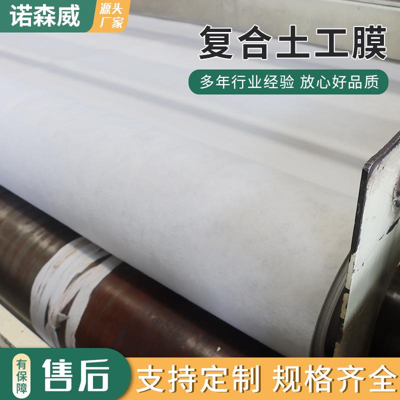 复合环保土工膜河道护坡人工湖园林绿化用防渗耐磨抗冲复合土工膜 - 实物图
