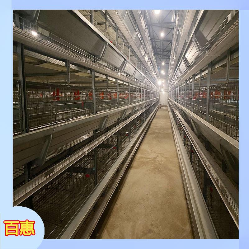 全自动肉鸡笼蛋鸡笼层叠式养鸡设备加密加粗自动化养殖设备
