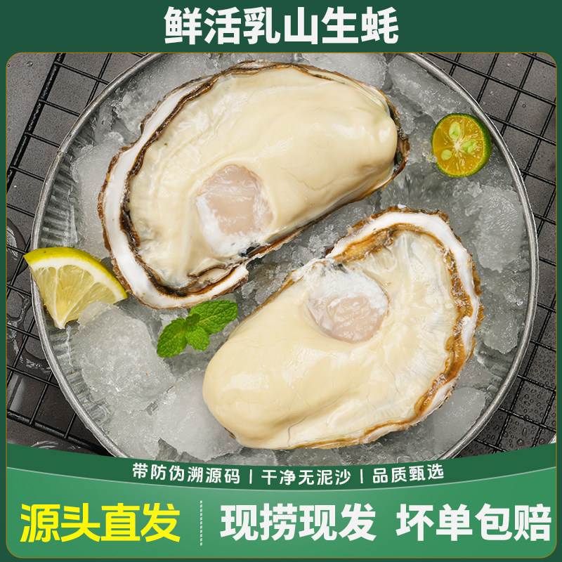 正宗乳山生蚝非免洗刺身原产地直发壳薄肉肥5斤,水产肉类/新鲜蔬果/熟食,生蚝,淘宝优惠券,粉丝福利购,淘宝优惠卷