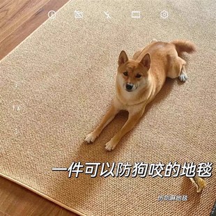 免洗可擦卧室床边毯家用榻榻米满铺地垫厚 仿剑麻地毯客厅2024新款
