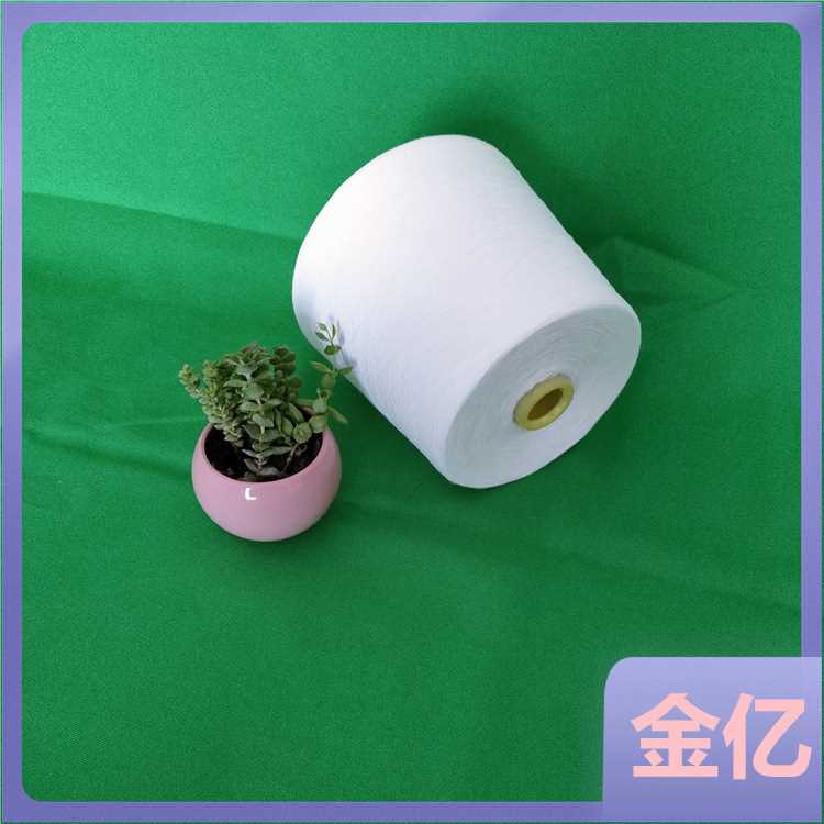 现货直发 黏胶 粘胶长丝2409 腈纶纤维 阻燃涤纶X20