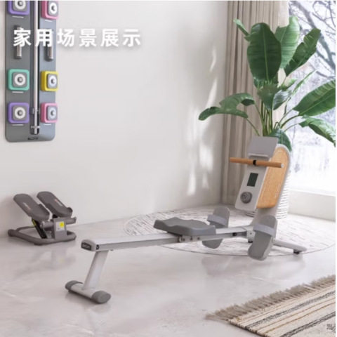 正星（ZXCH）磁阻划船机室内家用商用小型有氧无氧运动健身器材M1