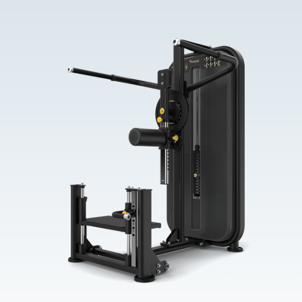 乔山VISION臂部训练器 VST600-S76家用专业健身房力量运动器材