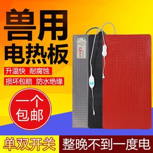 电热板兽用不锈钢保温加热板母猪产床保温箱养殖场小仔猪用电热板