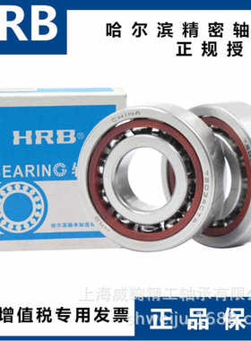 哈尔滨角接触轴承7200AC 7201 7203 7204 7205 7206ACTA/P4/P5