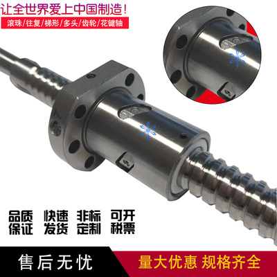 滚珠丝杠 C-BSSH1205 1210 1505 1510 1520 2005 2010 2020 2505
