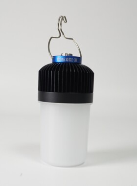 BKX203移动行灯 YJ-FW6320隔爆24V行灯 220V检修灯