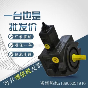 VP2 德克玛Dekema变量叶片油泵VP1