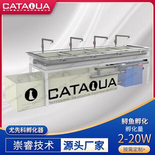 尤先科孵化器鱼卵孵化室内实验室鲟鱼鱼苗孵化设备