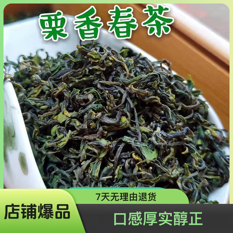 日照绿茶2025年春末茶浓香板栗味浓郁沙口大耐冲泡老茶友爱