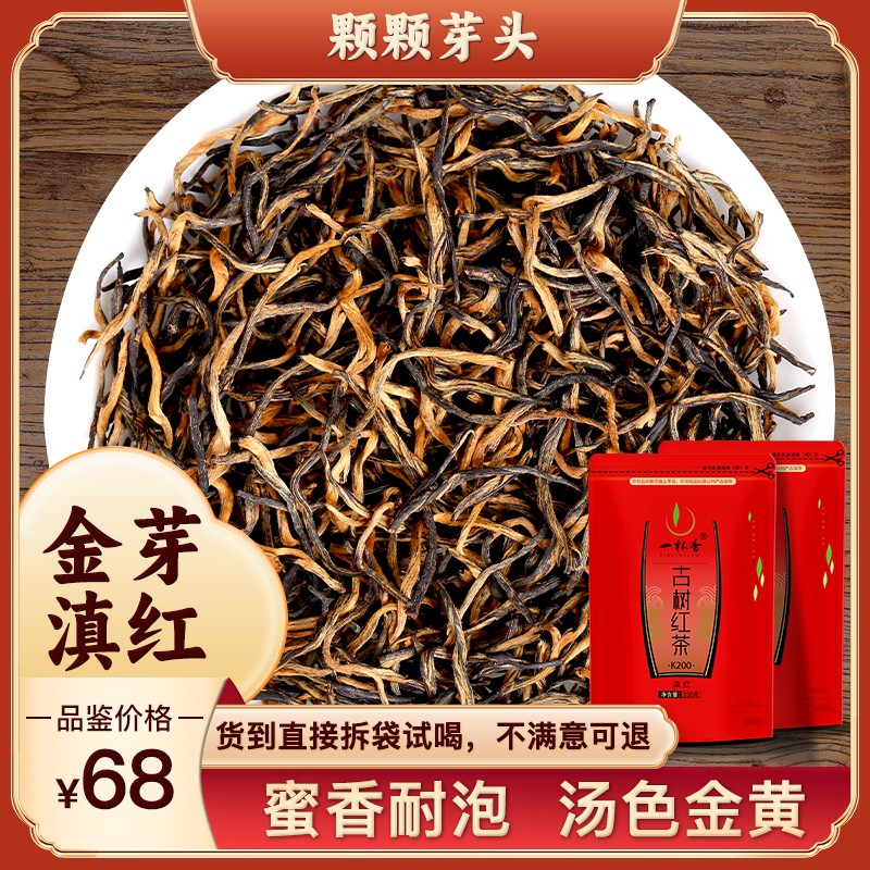 春茶季一杯香2025头采春茶云南凤庆古树红茶滇红茶叶正宗原产地
