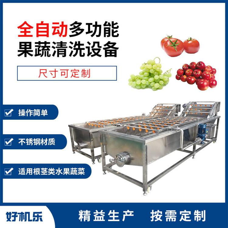 供应圣女果清洗机全自动气泡清洗苹果番茄葡萄设备