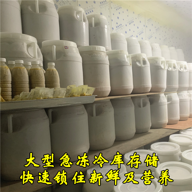 冷冻果汁奶茶店专用百香果原浆香水柠檬芒果桑葚菠萝葡萄金桔原汁