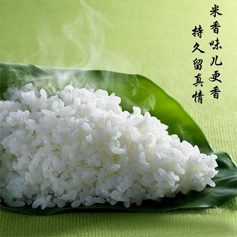 2024年【新米上市】现磨 长粒香新大米5kg10斤米包邮京山油粘籼米