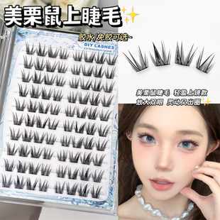 美栗鼠免胶假睫毛 森系精灵眼睫毛女自然仿真清透感 灵动上镜款