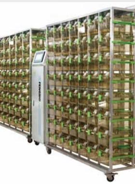 （价可议）IVC小鼠笼具 1拖2 98笼位 型号FS944-GF49-2库号M68664