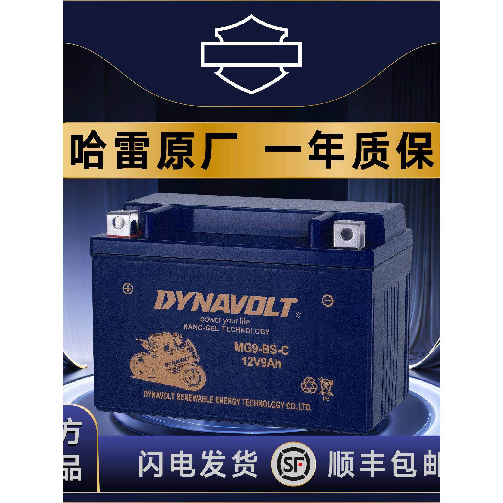 哈雷摩托车电瓶大滑翔883 750路王1200X48硬汉街霸肥霸肥仔突破者