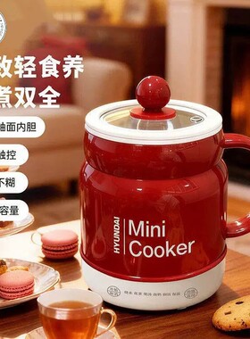 HYUNDAI电热暖奶杯炖煮一体