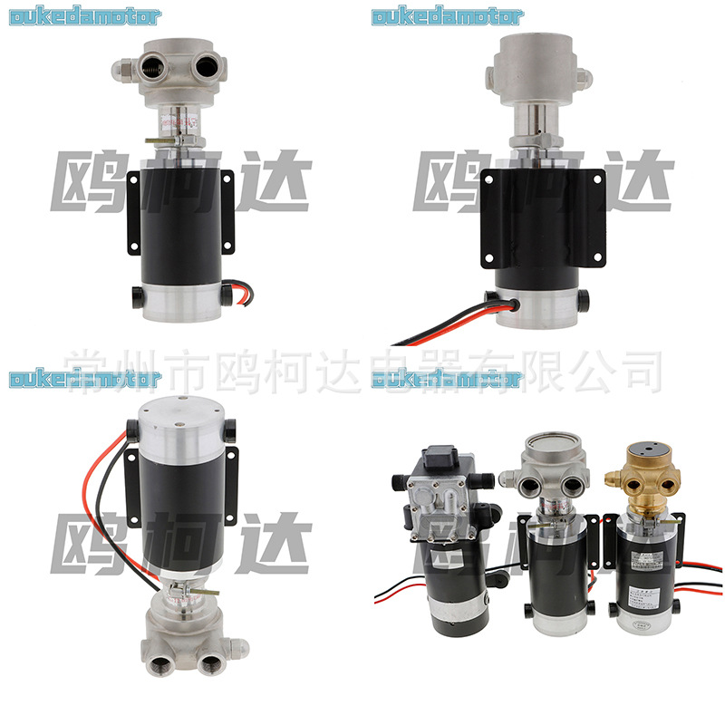 食品级微型直流电动隔膜泵果汁饮料机专用水泵 糖浆可乐机增压泵