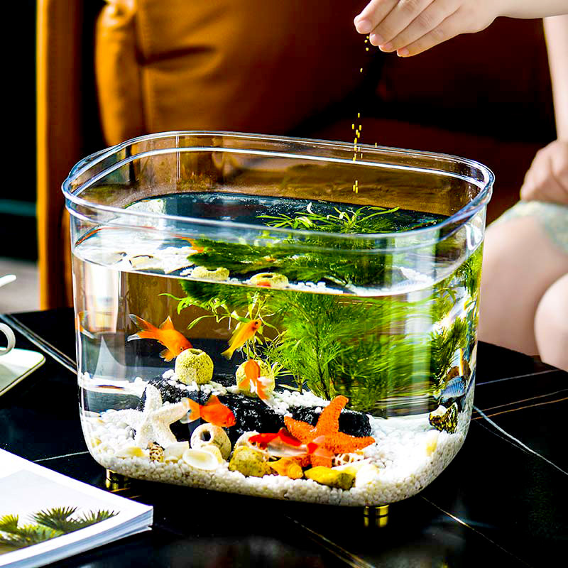 鱼缸客厅小型桌面小鱼缸2022新C款水族箱生态塑料金鱼缸水草乌龟