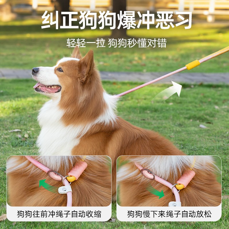 狗狗牵引绳p绳防爆冲中小型犬防挣C脱P链大型犬拴狗绳套脖遛狗神