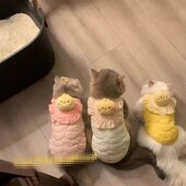 25年新款 猫咪衣服狗狗秋冬金渐层英短金K吉拉宠物可爱保暖加绒马