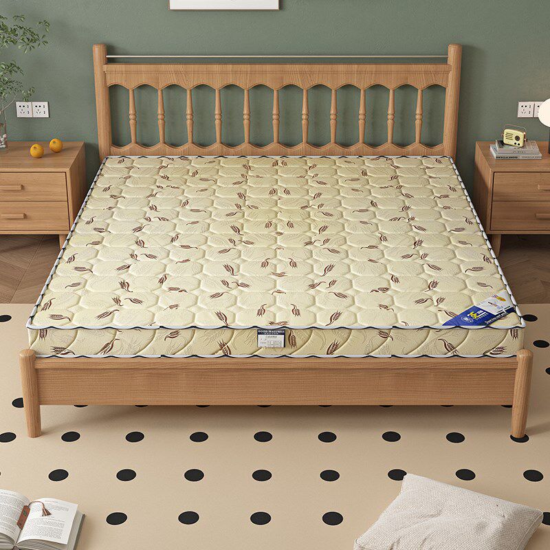 床垫子椰a棕家用卧室护腰护脊10公分偏硬棕榈垫3e环保纯天然薄床