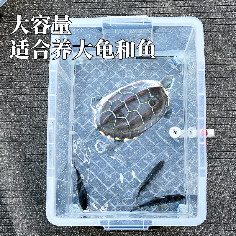 乌龟缸鳄龟饲养箱草龟专用缸收纳箱造景箱透明带盖U带排水生态鱼