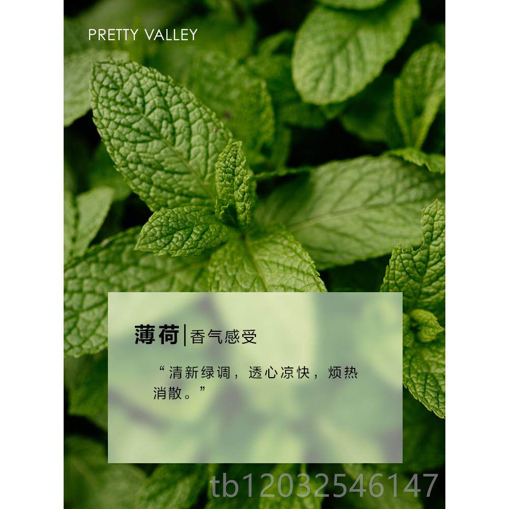 正品汇美油舍胡椒薄荷精精油单方精纯植物油面部护肤身体按精摩香