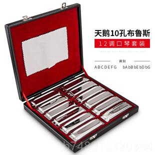 正品德国口音进鹅十孔布鲁斯天口琴10孔7调蓝调布鲁斯12调套装乐