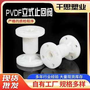止回阀配件 厂家生产PPH加强型止回阀PN16防漏防水耐腐蚀PVDF立式
