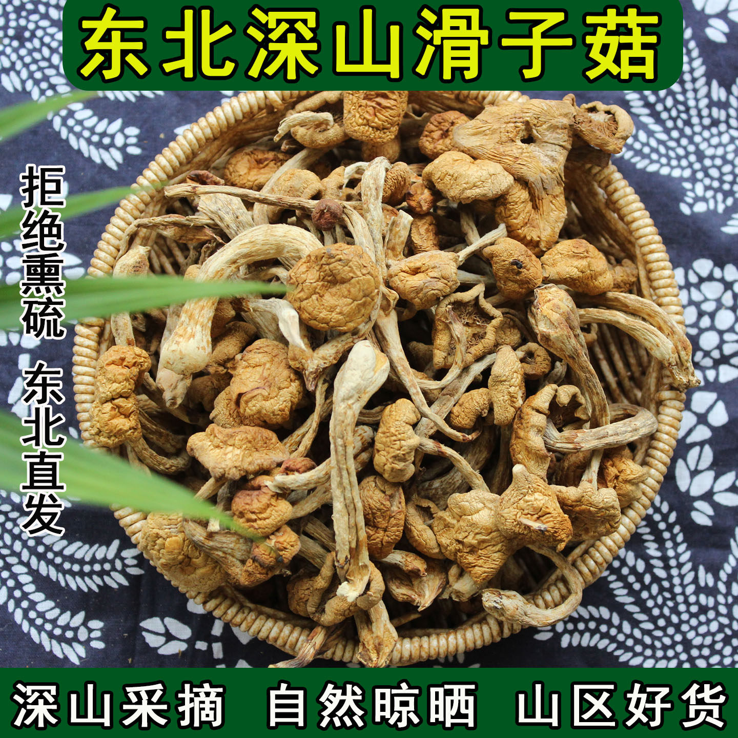 东北滑子菇嫩滑无根小鸡炖蘑菇黑龙江特产菌菇干货黄蘑菇非野生