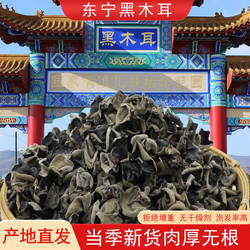 东北特产新货东宁黑木耳干货500g小碗耳秋耳肉厚无根非特级野生