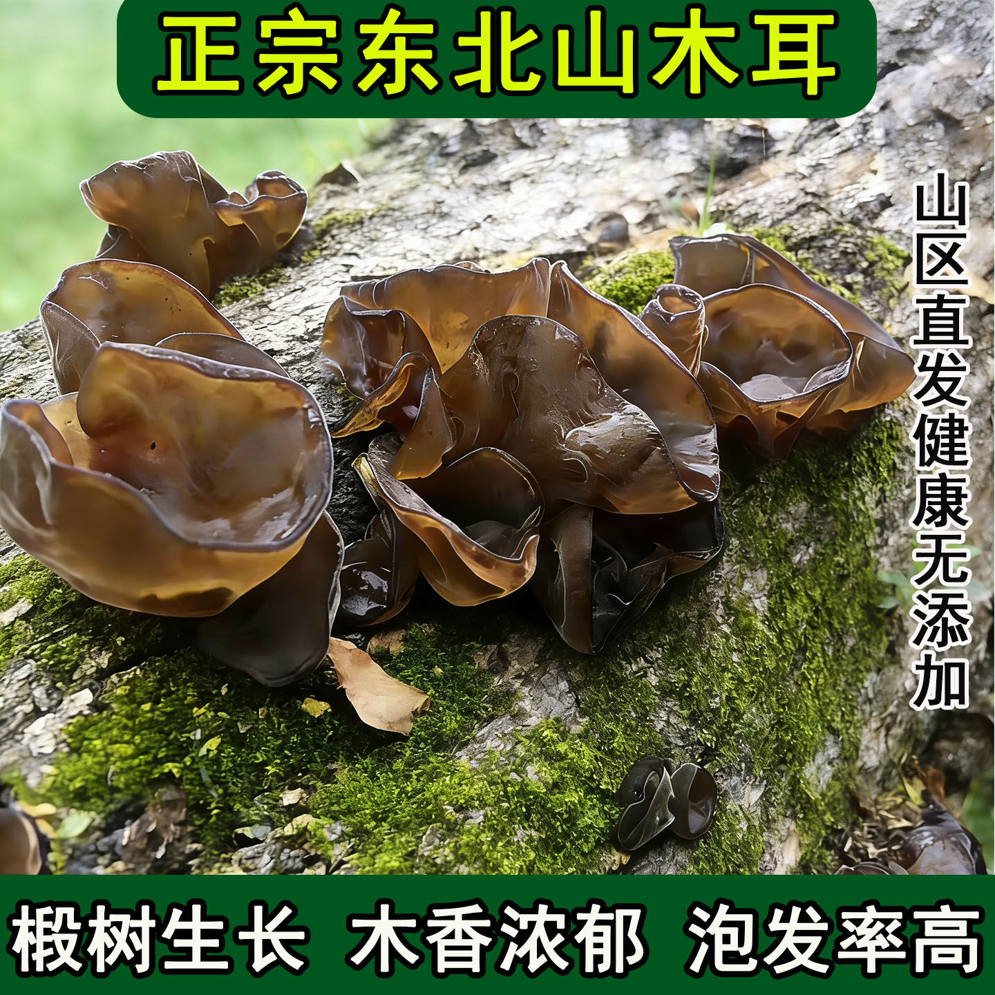 椴木黑木耳干货特级东北木耳长白山黑龙江东宁黄金耳正宗优质秋耳