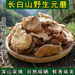 东北野生元蘑东北特产冻蘑干货无熏无硫无添加无根当年新货黑龙江