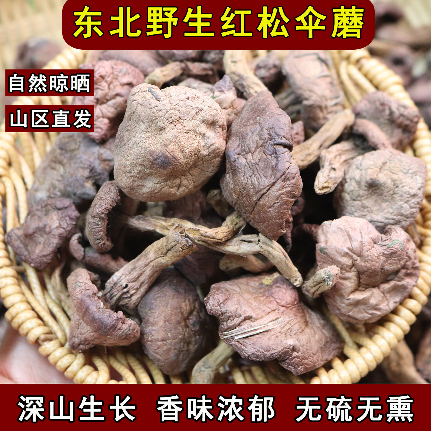 天然红蘑东北野生蘑菇松树伞蘑菇肉蘑红菇松伞蘑小鸡炖蘑菇鸡血蘑
