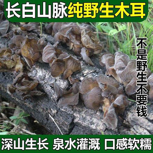 东北纯野生木耳干货特级天然无硫