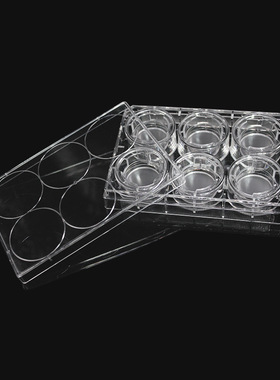 LABSELECT(甄选)14141 细胞培养小室,含6孔板(PC膜,24mm,孔径8.0