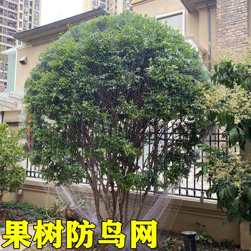嘉宝果树防鸟网樱桃树网枇杷树网水果防小鸟用的网家用蔬菜防鸟网