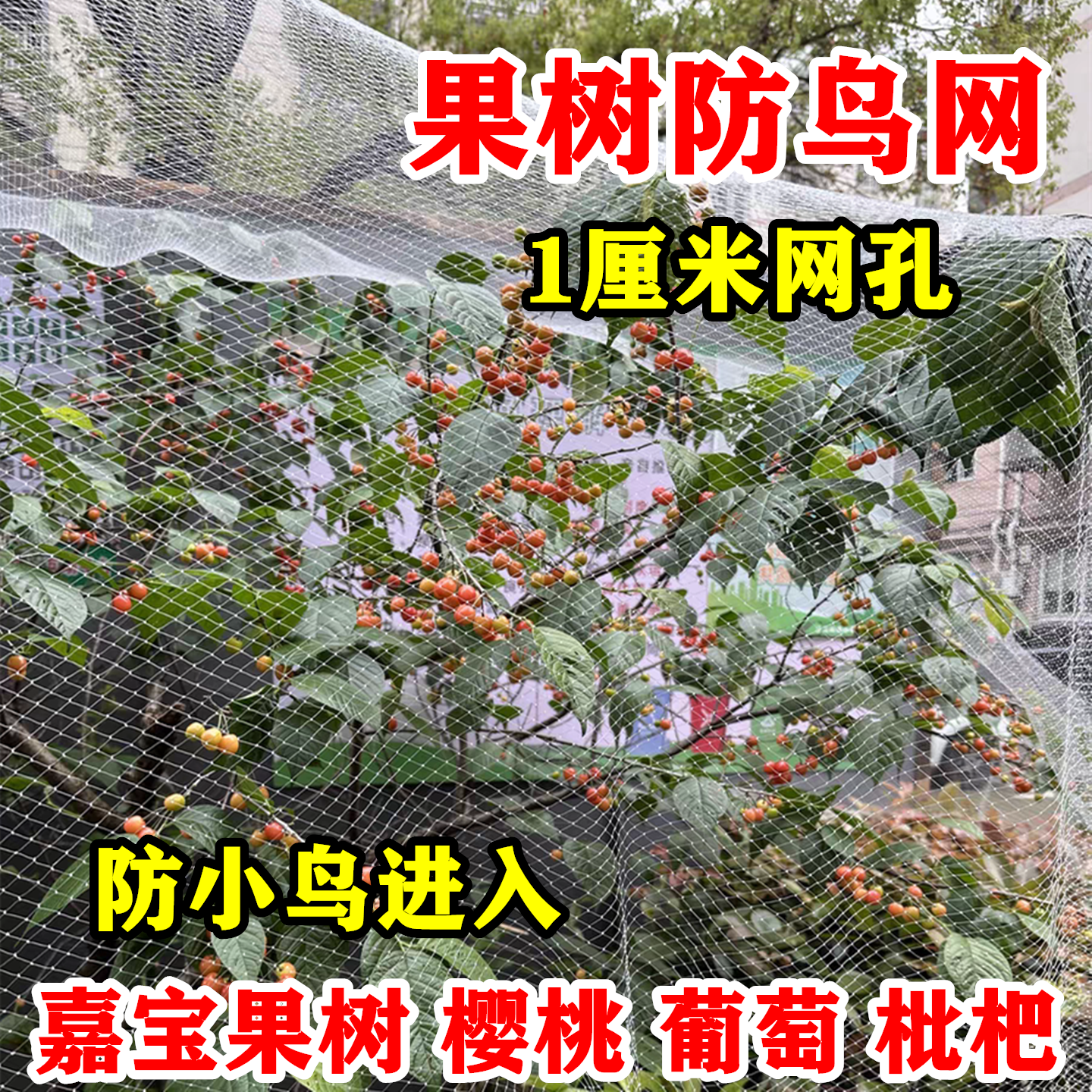 1厘米小网孔果园果树防鸟用的网