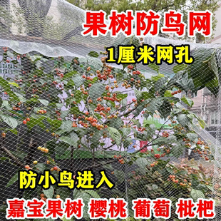 1厘米防鸟网果树防鸟用 网樱桃葡萄梨树苹果园防鸟天网果园防鸟
