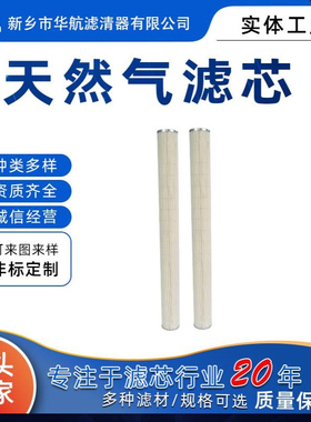 厂家供应替代MCC1401E100H13天然气聚结滤芯 气体管道脱水滤芯