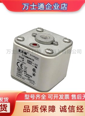 170M4515170M4516170M4517170M4518170M4519全新熔断器现货