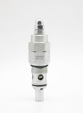 直动式溢流阀ZNRV-100