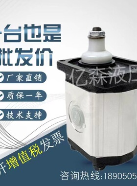 布雷维尼brevini齿轮泵OT100P07/11/16/20/25/32/40/49/58/65/75