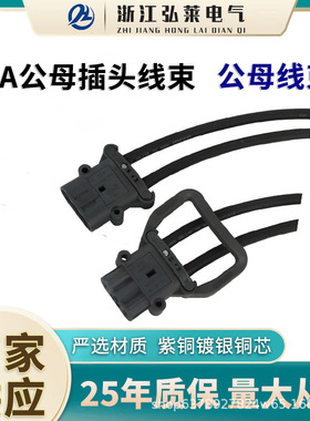 REMA线束叉车插头公头母头连接器新能源电气工业接头