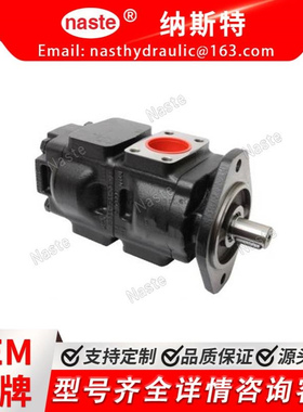 20/912800  液压泵