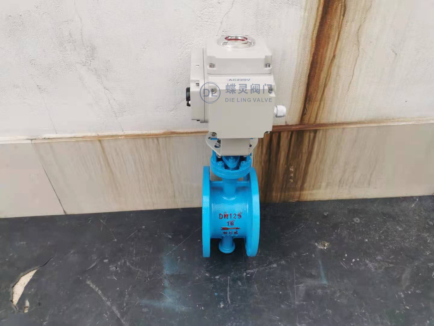 D943H-25C DN125电动硬密封法兰蝶阀 电动硬密封蝶阀型号齐全