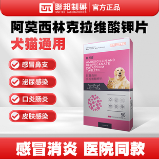 联邦金阿莫西林克拉维酸钾猫咪狗犬消炎感冒药咳嗽打喷嚏泌尿感染