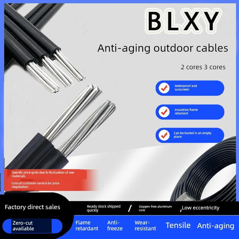 国家标准2芯3芯铝抗老化线4 6 10 16方护套线家用户外空电缆